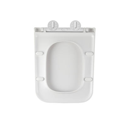 Wall Hung Toilet with Soft Close Seat, Mechanical Brushed Brass Flush Plate, 1168mm Frame & Cistern - Albi