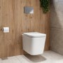 Albi Wall Hung Toilet 1160mm Mechanical WC Frame & Cistern & Chrome Mechanical Flush Plate