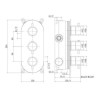 Brushed Brass Dual Outlet Wall Mounted Thermostatic Mixer Shower with Hand Shower &amp; Diverter - Arissa