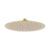 250mm Brushed Brass Rain Shower Head with Ceiling Arm