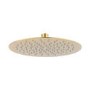 250mm Brushed Brass Rain Shower Head with Ceiling Arm