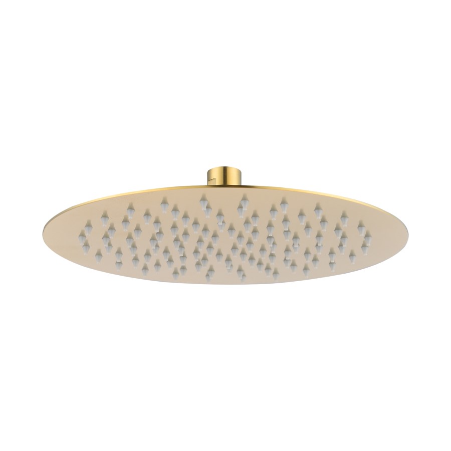 250mm Brushed Brass Rain Shower Head with Ceiling Arm