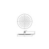 250mm Brushed Brass Rain Shower Head with Ceiling Arm