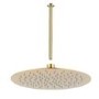250mm Brushed Brass Round Rainfall Shower Head with Ceiling Arm - Arissa