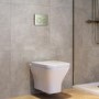 Wall Hung Rimless Toilet with Soft Close Seat, Brushed Brass Mechanical Flush Plate, 1160mm Frame & Cistern - Austin