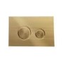 Wall Hung Rimless Toilet with Soft Close Seat, Brushed Brass Mechanical Flush Plate, 1160mm Frame & Cistern - Austin