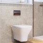 Wall Hung Rimless Toilet with Soft Close Seat, Brushed Bronze Pneumatic Flush Plate, 820mm Frame & Cistern - Austin
