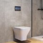 Wall Hung Rimless Toilet with Soft Close Seat, Gunmetal Grey Pneumatic Flush Plate, 1160mm Frame & Cistern - Austin