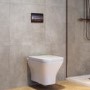 Wall Hung Rimless Toilet with Soft Close Seat, Brushed Bronze Pneumatic Flush Plate, 1160mm Frame & Cistern - Austin