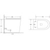Grade A1 - Back to Wall Rimless Toilet with Soft Close Seat - Newport