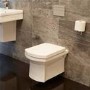 Isobelle Wall Mounted Toilet and Soft Close Seat