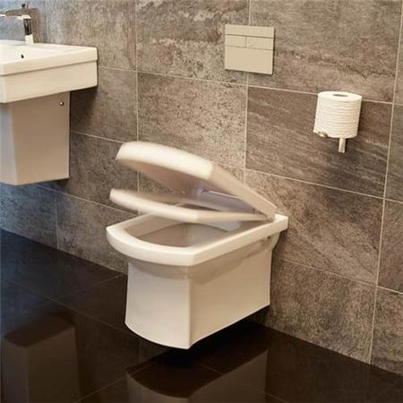 Isobelle Wall Mounted Toilet and Soft Close Seat