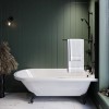 Freestanding Single Ended Shower Bath with Black Feet &amp; Bath Screen - Park Royal
