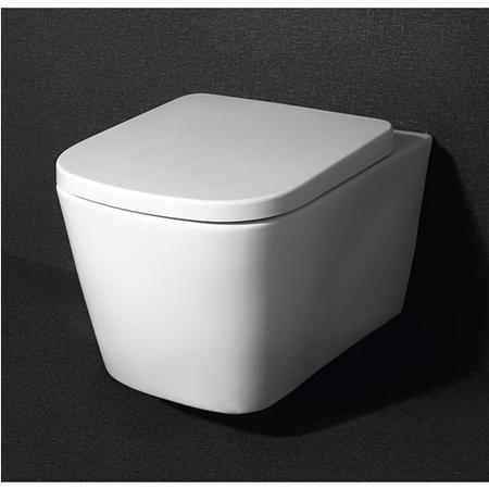 Boston Rimless Wall Hung Toilet with Soft Close Seat