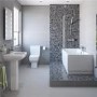 Tabor 1700 Shower Bath & Two Piece Suite with Taps & Waste   - single screen, right hand