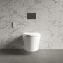 Purificare Wall Hung Toilet With Grohe Frame And Black Flush Plate