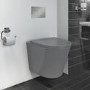 Matt Grey Wall Hung Rimless Toilet with Soft Close Seat - Verona