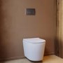 Matt White Wall Hung Rimless Short Projection Toilet with Soft Close Seat – Verona