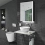 Grade A2 - Wall Hung Rimless Toilet with Soft Close Seat - Verona
