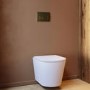 Matt White Wall Hung Rimless Toilet with Soft Close Seat Brass Pneumatic Flush Plate 1170mm Frame & Cistern - Verona