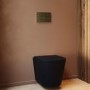 Matt Black Wall Hung Rimless Toilet with Soft Close Seat Cistern Frame and Brushed Brass Flush - Verona