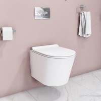 Newport Rimless Wall Hung Pan inc installation screws