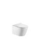 Newport Rimless Wall Hung Pan inc installation screws