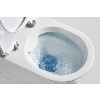 Grade A1 - Back to Wall Rimless Toilet with Soft Close Seat - Newport