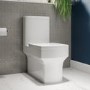 Rimless Close Coupled Toilet and Basin Suite - Ashford