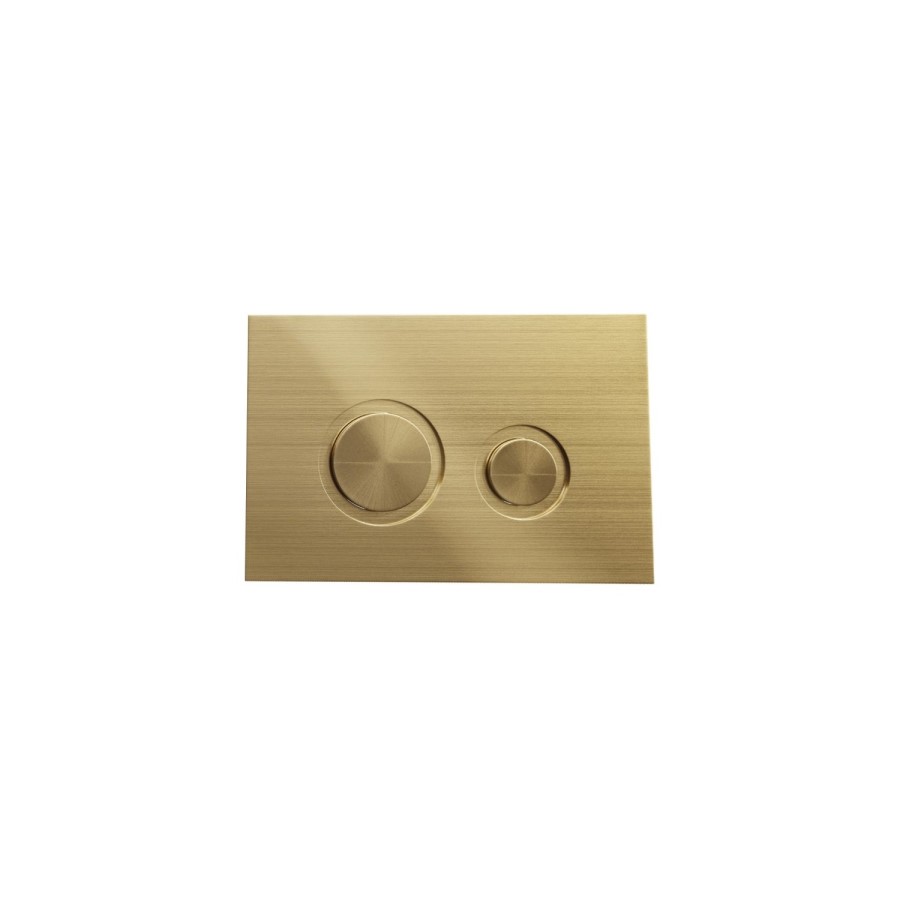 Wall Hung Rimless Toilet with Soft Close Seat Frame Cistern and Brass Flush - Santiago