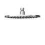 250mm Round Wall Mounted Shower Head