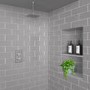 Chrome Single Outlet Ceiling  Mounted Thermostatic Mixer Shower - Cube