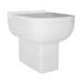 Back to Wall Short Projection Rimless Toilet with Soft Close Seat - Seren