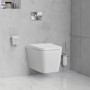 Wall Hung Toilet with Soft Close Seat Cistern Frame and Chrome Flush - Evan
