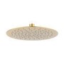 Brushed Brass Round Shower Head 250mm and Wall Arm - Arissa