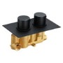 Arissa Matt Black Dual Control Round Concealed Valve - 1 Outlet