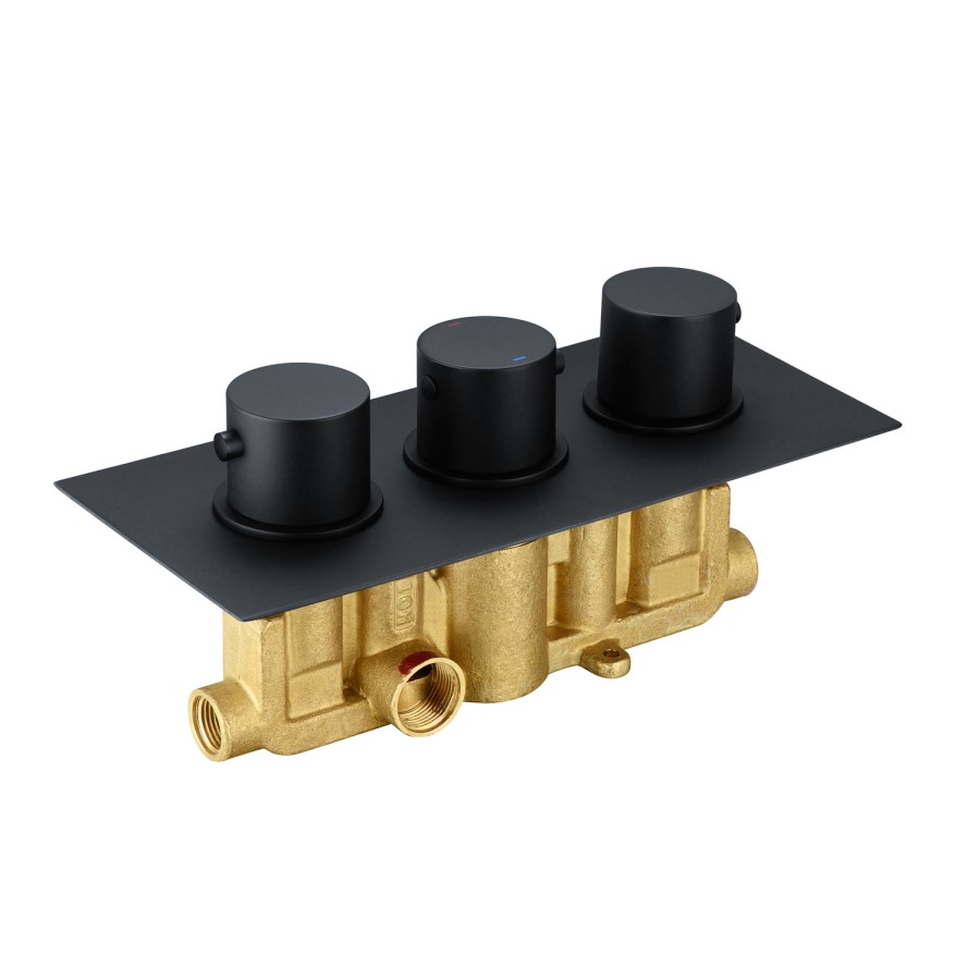 Arissa Matt Black Triple Control Round Concealed Valve - 2 Outlet