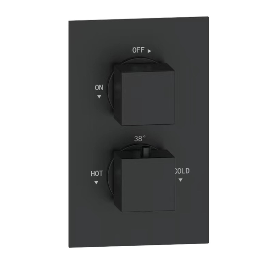 Black 1 Outlet Ceiling Mounted Thermostatic Mixer Shower Set  - Zana