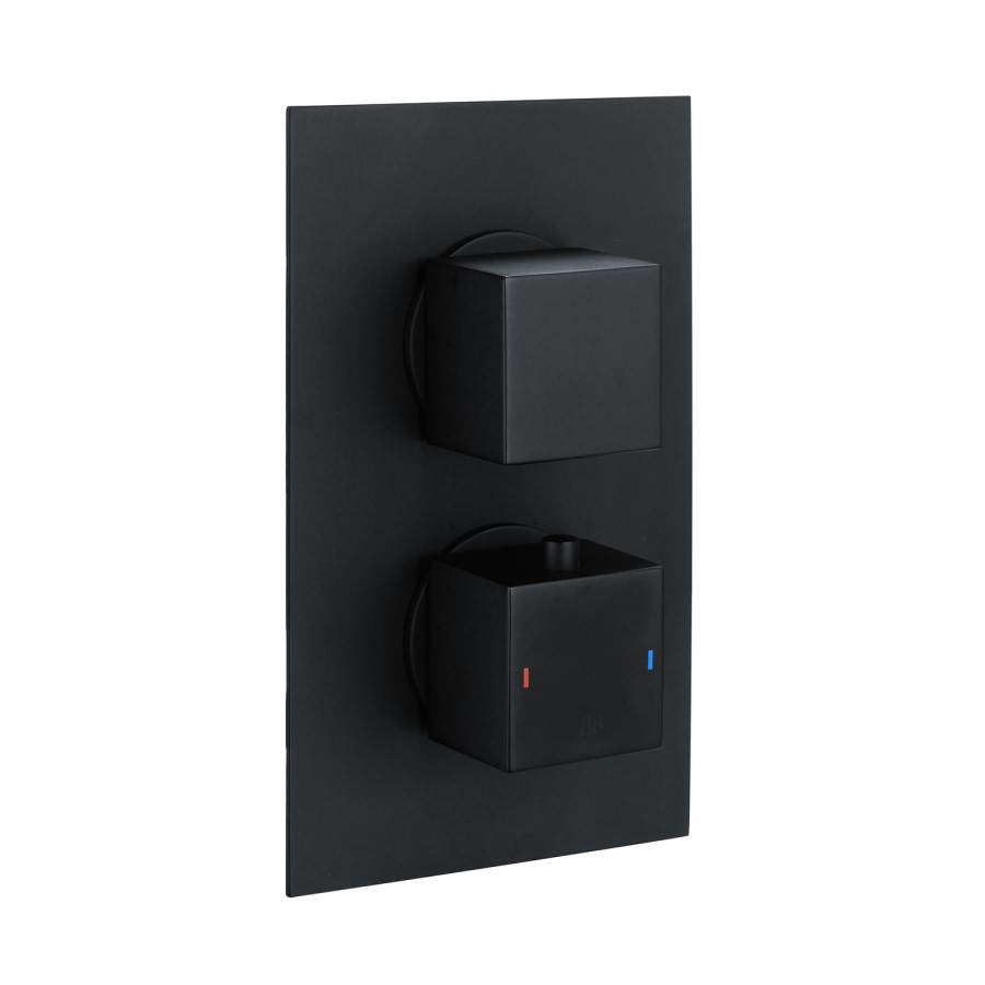 Grade A1 - Black Dual Outlet Wall Mounted  Thermostatic Mixer Shower with Hand Shower - Zana