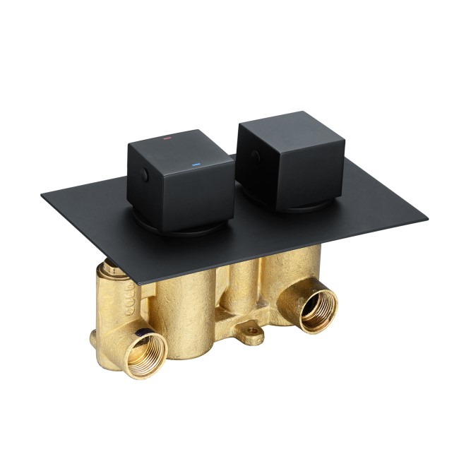 GRADE A1 - Zana Matt Black Dual Control Square Concealed Valve - 2 Outlet