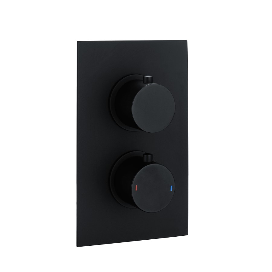 Arissa Matt Black Dual Control Round Concealed Valve - 1 Outlet