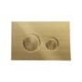 Grade A1 - Wall Hung Rimless Toilet  - Includes Cistern Wall Hung Frame Soft Close Seat and Brushed Brass Flush Plate - Boston