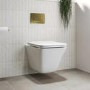 Wall Hung Rimless Toilet with Soft Close Seat and Brushed Brass Pneumatic Flush Plate, 820mm Frame & Cistern – Boston