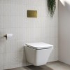 Wall Hung Toilet with Soft Close Seat Brushed Brass Pneumatic Flush Plate 1160mm Frame &amp; Cistern - Boston