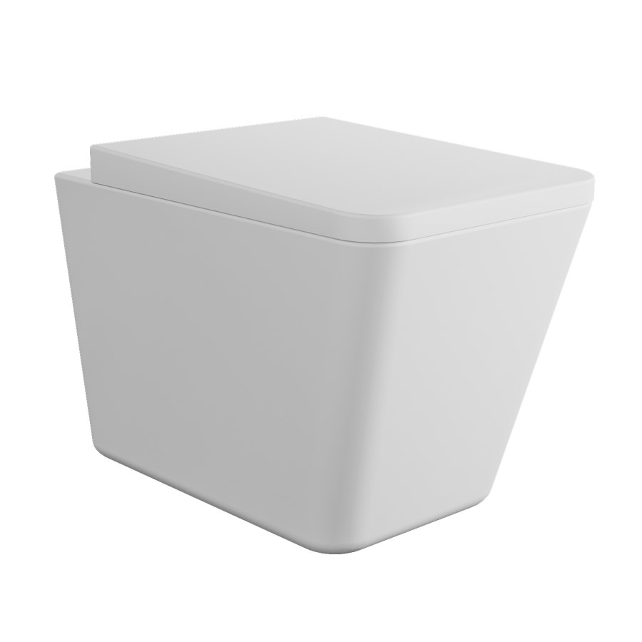 Grade A1 - White Wall Hung Rimless Toilet and Soft Close Seat - Augusta