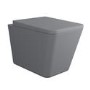 Grey Wall Hung Rimless Toilet and Soft Close Seat - Augusta