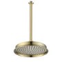 230mm Brushed Brass Traditional Shower Head with Ceiling Arm