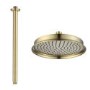 230mm Brushed Brass Traditional Shower Head with Ceiling Arm