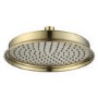 230mm Brushed Brass Traditional Shower Head with Ceiling Arm