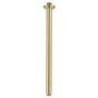 230mm Brushed Brass Traditional Shower Head with Ceiling Arm